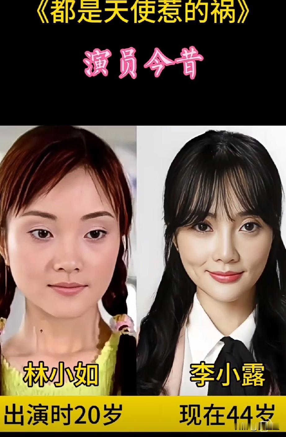 《都是天使惹的祸》演员今昔对比。40多年了，谁变化大？