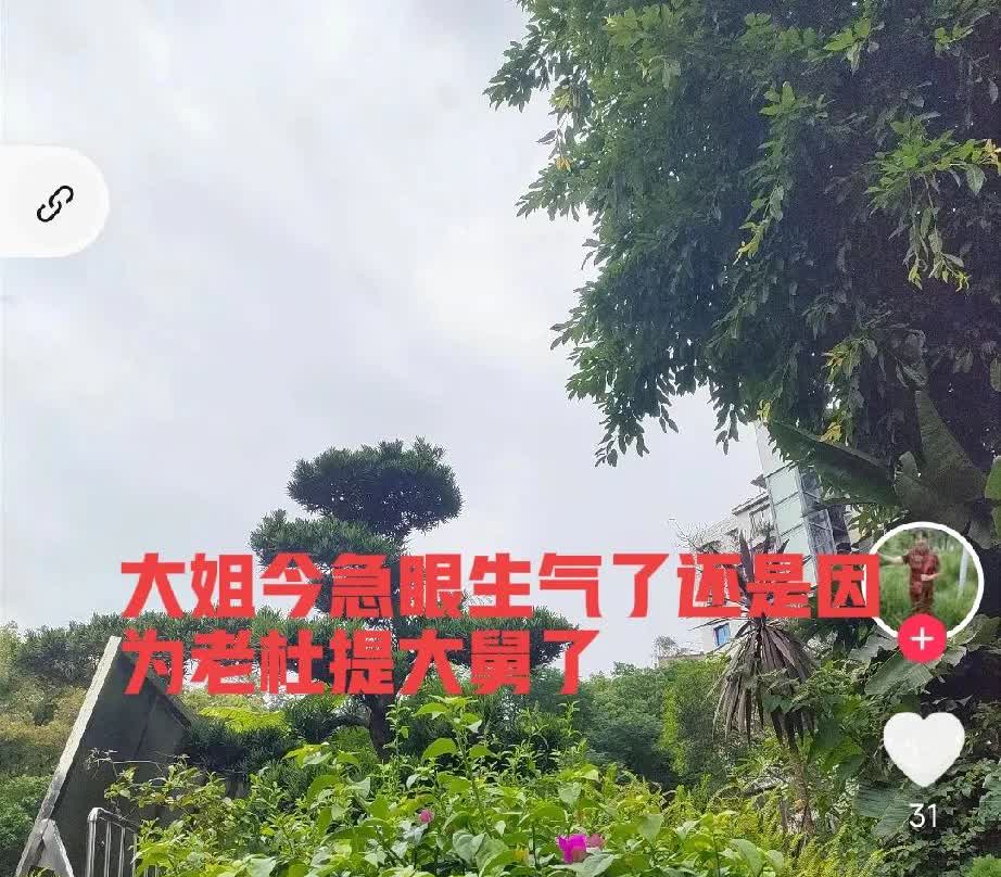 不忍了，柴桑大姐今天急眼生气了，为啥呢？早上看大姐直播，大姐说的呀，那个老杜真是