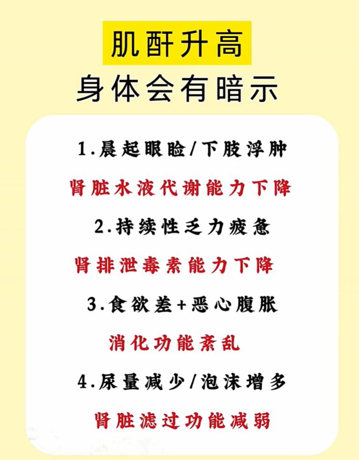 肌酐升高，身体会给出4个暗示，尽早留意肾脏信号