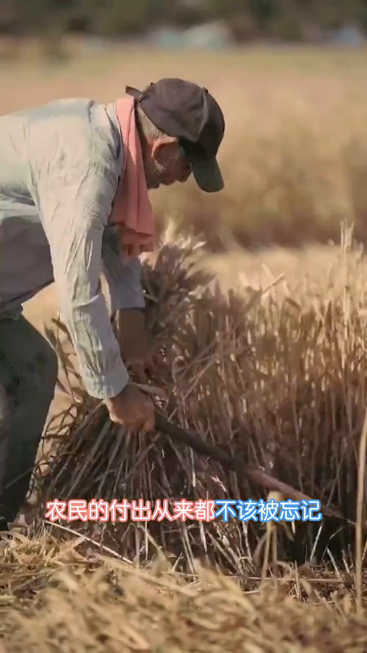 我也是农民的孩子，我完全支持这个提议。全国人大代表雷茂端建议，把70岁以上农村老