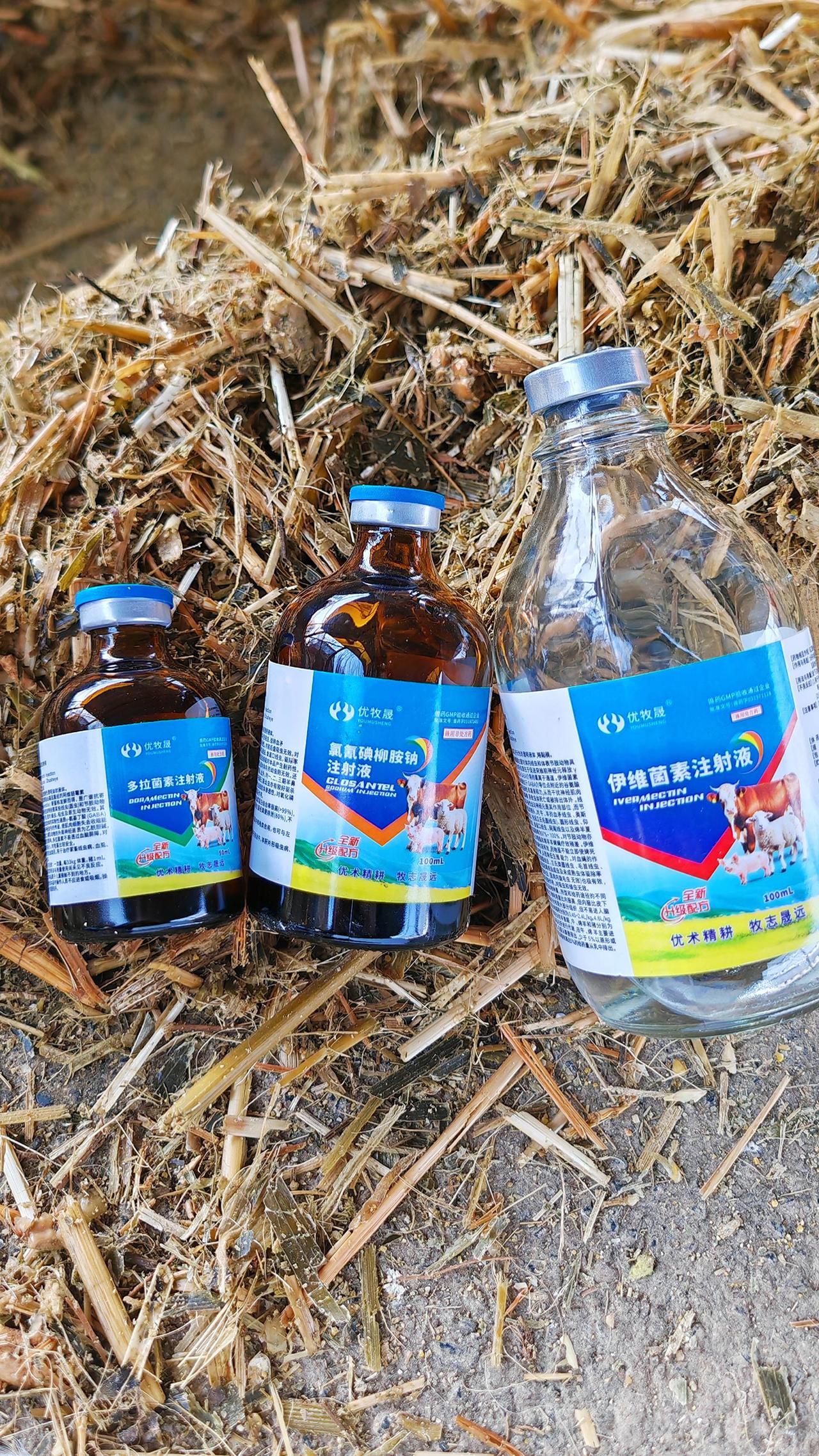 养羊人农村养羊牛羊养殖养殖人加油