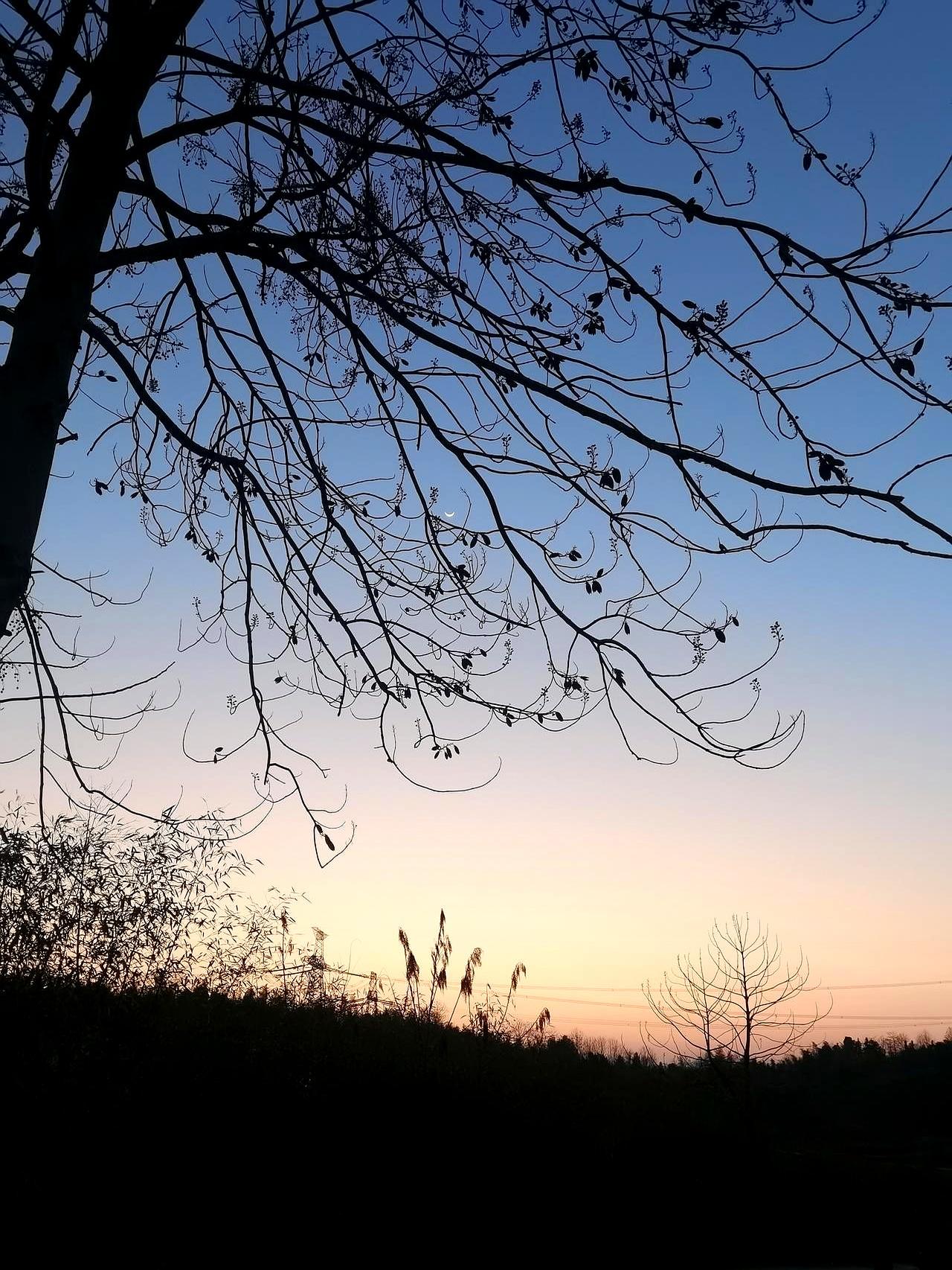 γ氨基丁酸思考你发现没，有时候明明没干啥体力活儿，但脑子就是累得不行，紧绷绷的