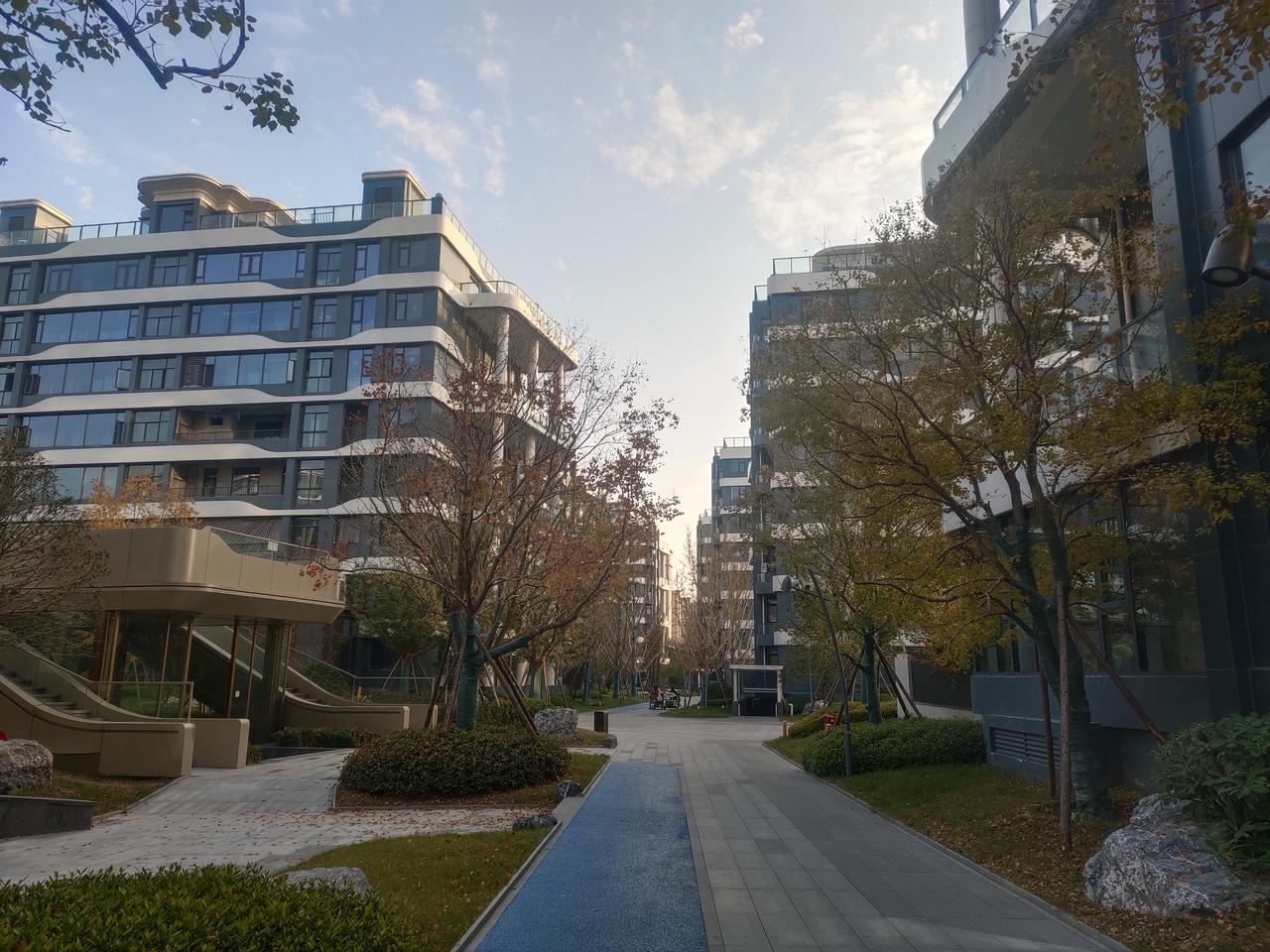 初冬暖阳洒满小区，五彩斑斓景色映照大地，花香四溢，一切都变得宁静而美好！🌞🌱