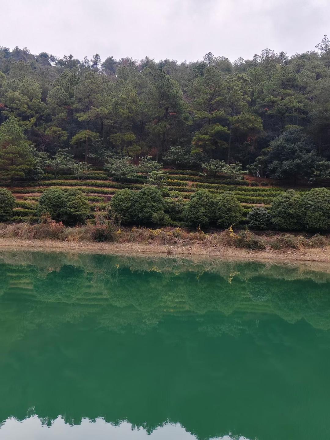 卖房！不能听任中介谈好86万卖房签合同，买方突然压到82万，我让步84万，买卖双