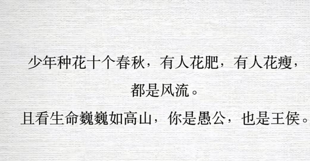 种花，十载，花肥花瘦都风流.