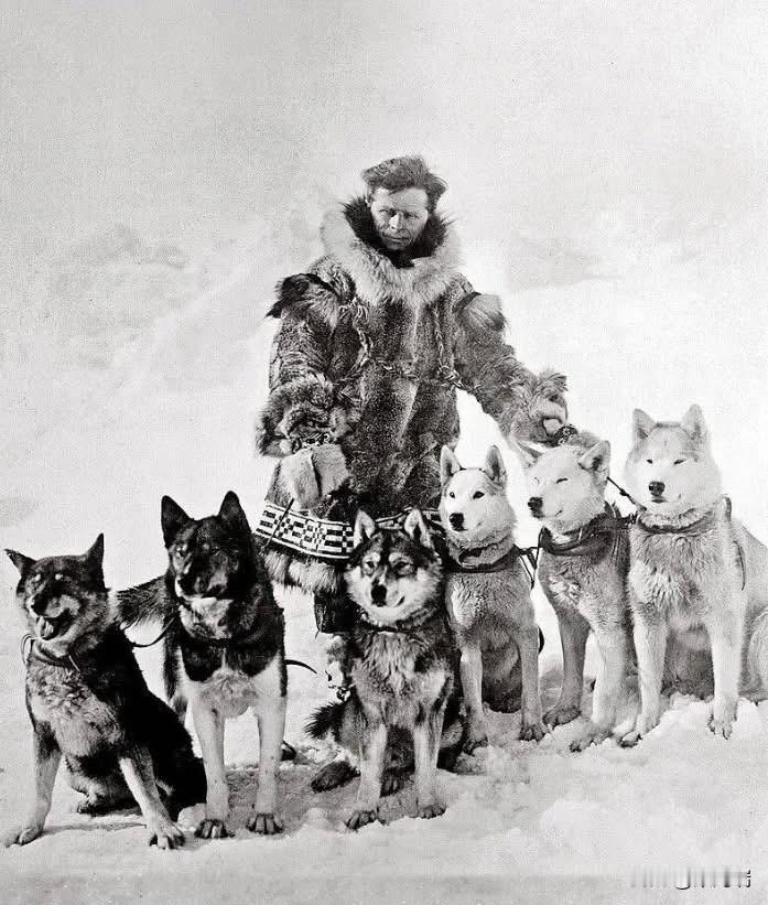 哈士奇5天狂奔1000公里，救了整个镇的孩子。1925年，阿拉斯加的诺姆镇爆