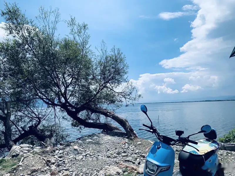 夏日生活打卡季夏日生活打卡季来啦！夏日打卡，有美景，可也有“雷区”呢。就拿洱海