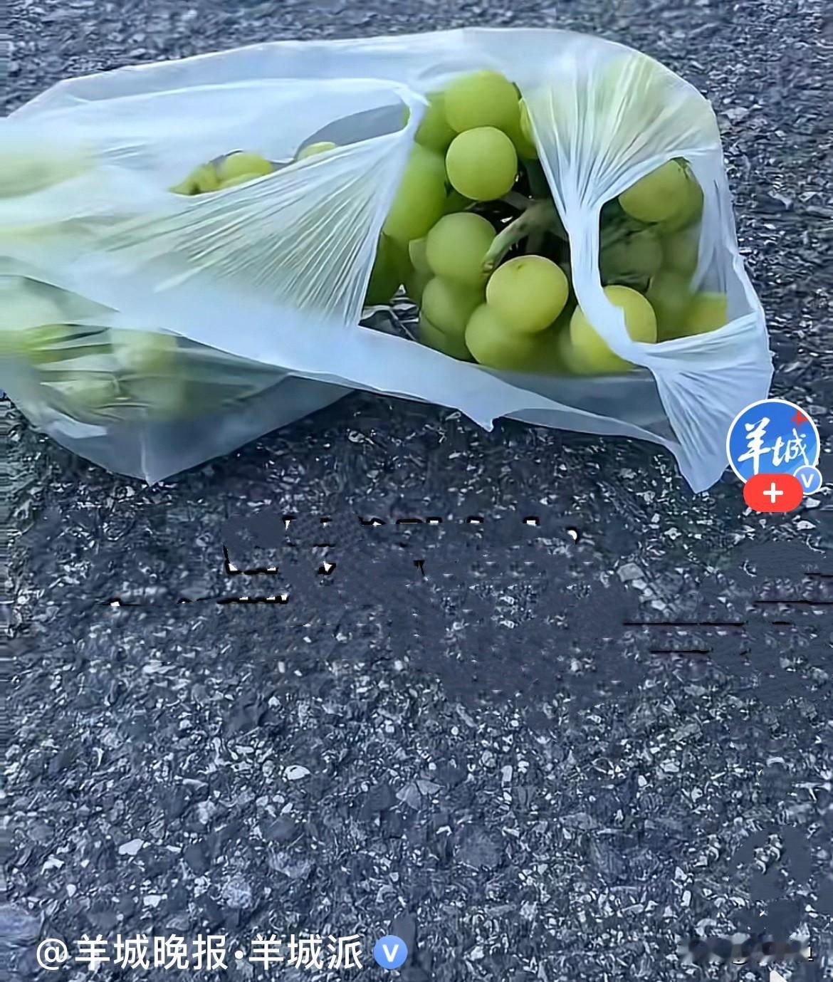 近日，浙江嘉兴一名女子买农户现摘新鲜葡萄，女子随手挑了几串，直接装进塑料袋拎走了