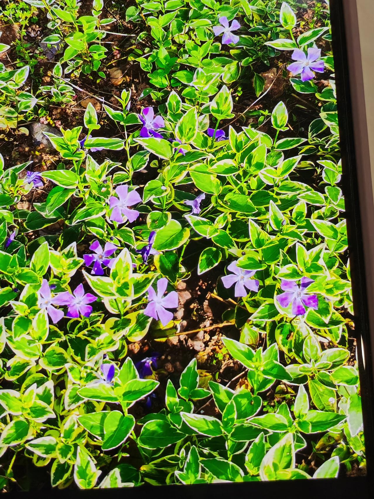 下面的观点太偏激了吧；1.女人永远不要让人低成本拥有，一定要打扮，一定要好看