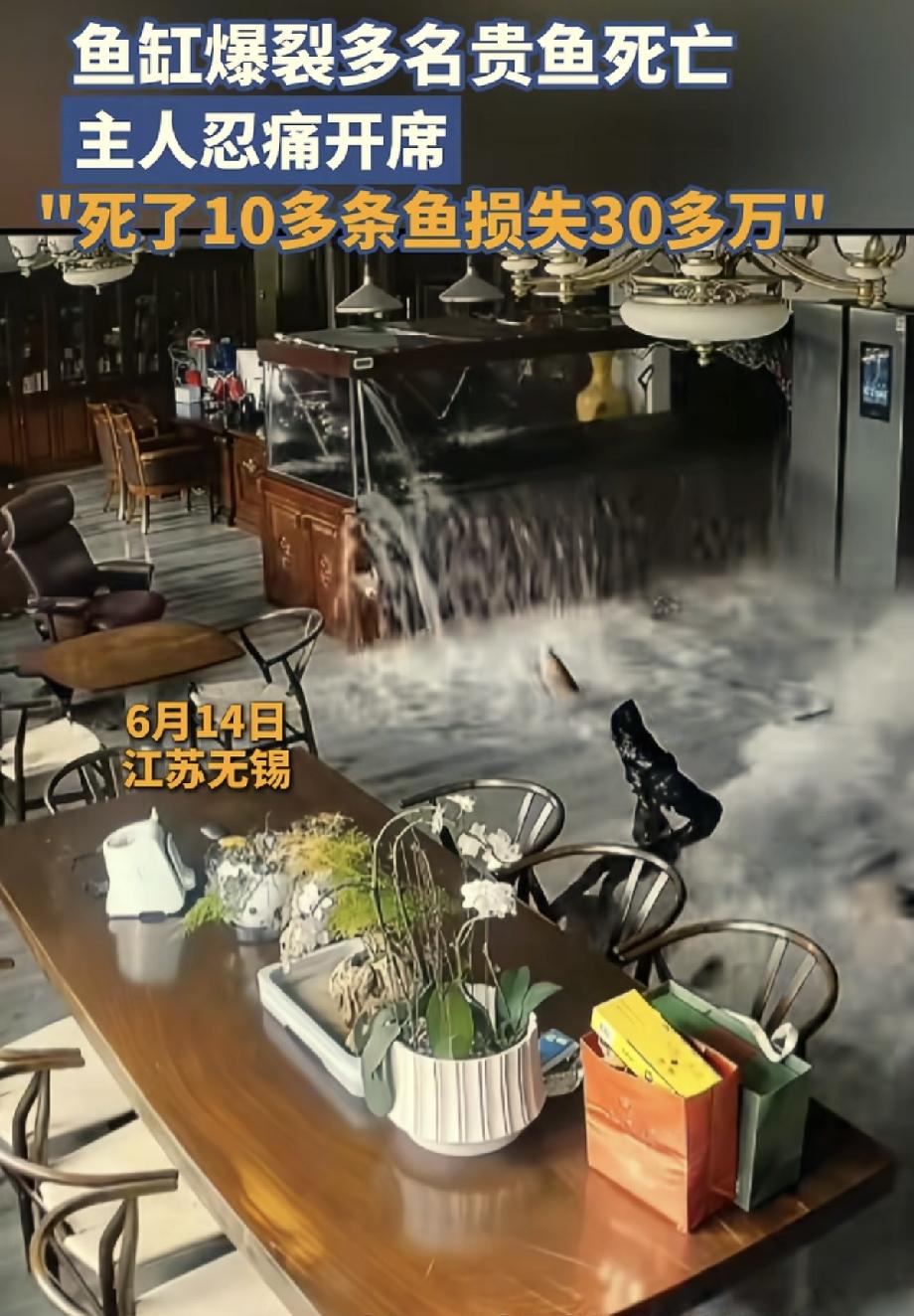 江苏，男子在办公室养了几十万的名贵观赏鱼，不料，鱼缸毫无征兆的炸开，这些鱼因缺氧