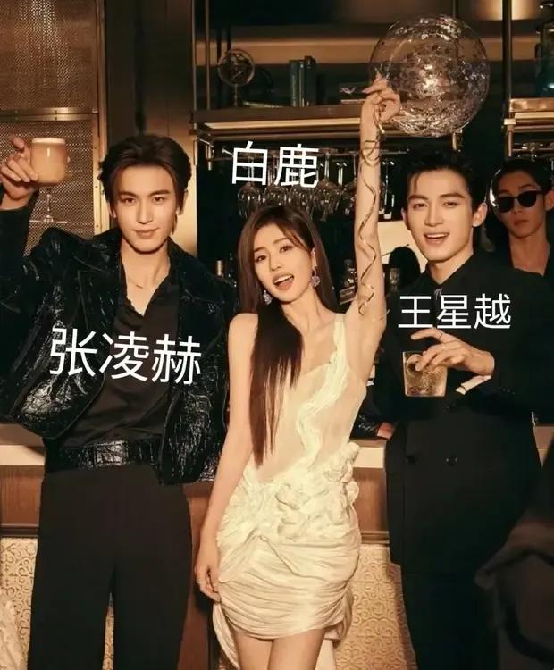 事实证明，导演和编剧都觉得张凌赫仪表堂堂，古装有气质。“旧前王谢门前燕，飞入寻