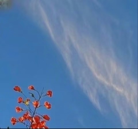 只要心向阳，不管黑暗，走到哪都光明。只要心胸开阔，不管世界再小，走哪都有你一片天