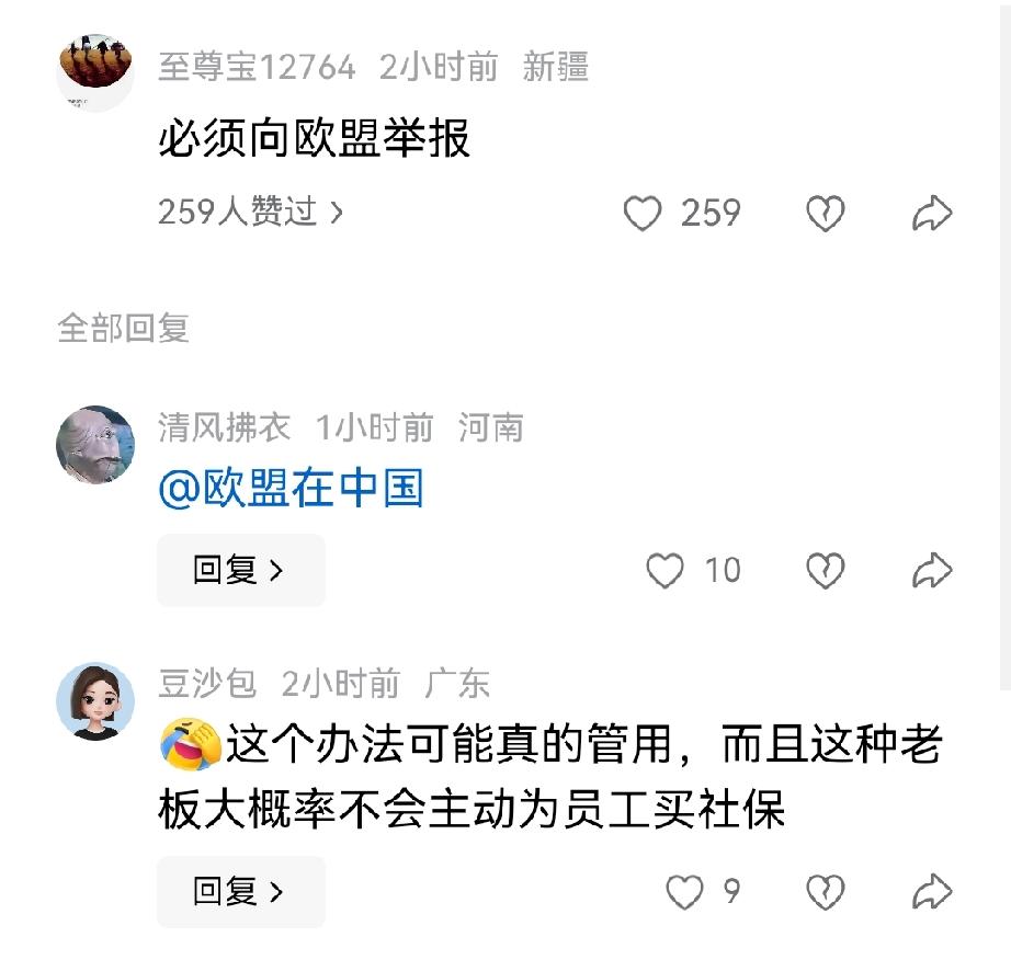 必须向欧盟举报，热心的网友艾特了欧盟在中国，希望欧盟能够制裁这样的无耻企业。看