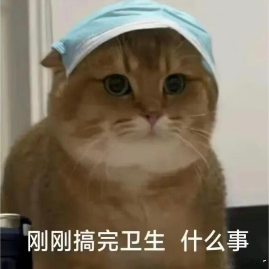 猫咪表情包。