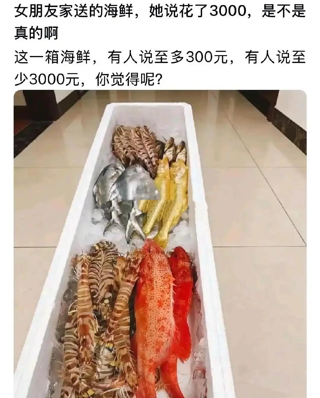 凭这，不论长相，从了吧