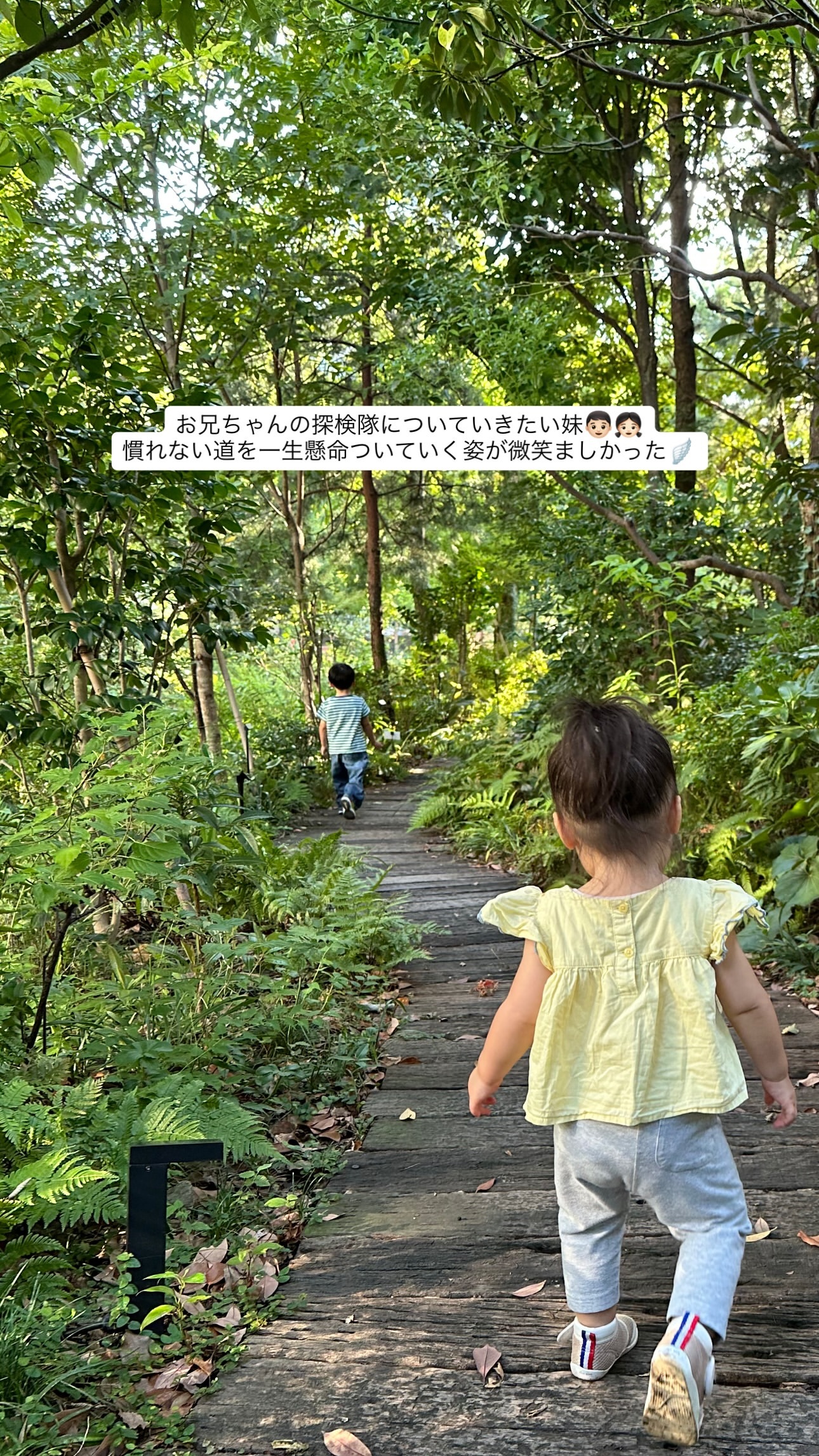 衛藤美彩　みさ先輩​​​