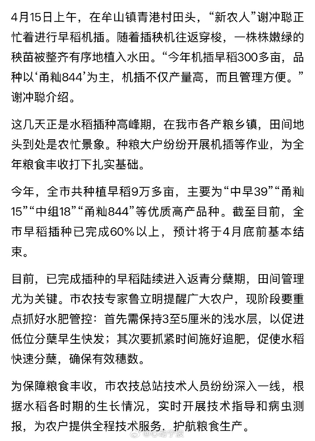余姚9万多亩早稻插种有序推进4月15日，余姚早稻插种进入高峰期，全市9万多亩早