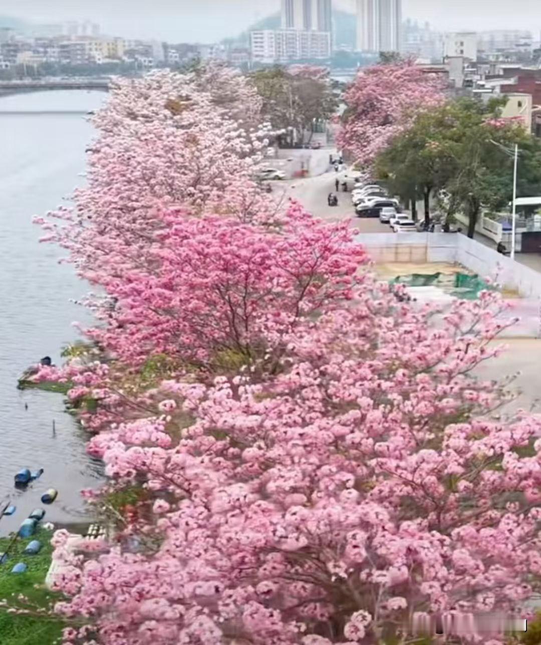 有些玄学，科学真的无法解释人去世前是有征兆的，你会看到一些反常的现象。虽说生