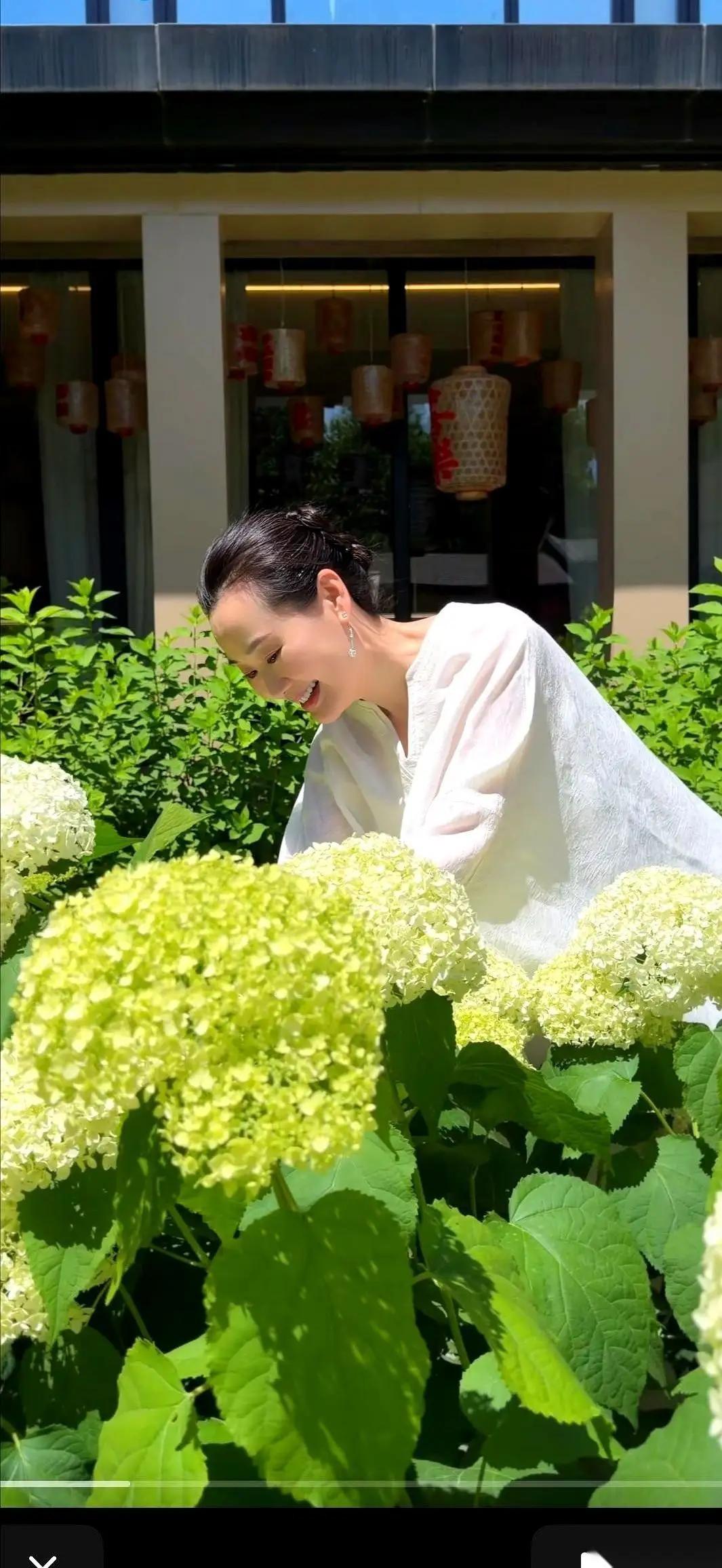 林依轮老婆西华，57岁了。照片里她往自家庄园一站，手里攥着刚剪的白绣球，那件