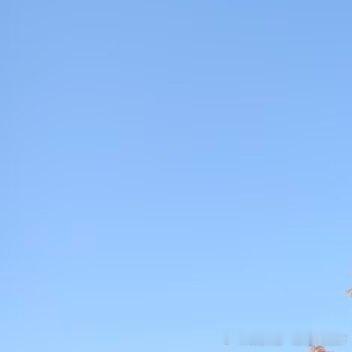 每日一善人生就是一场修行，修的就是一颗心，珍惜今天，珍惜现在，风舞落叶的日子，