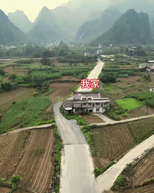 南方农村，这种“钉子户”怎么破？​​​