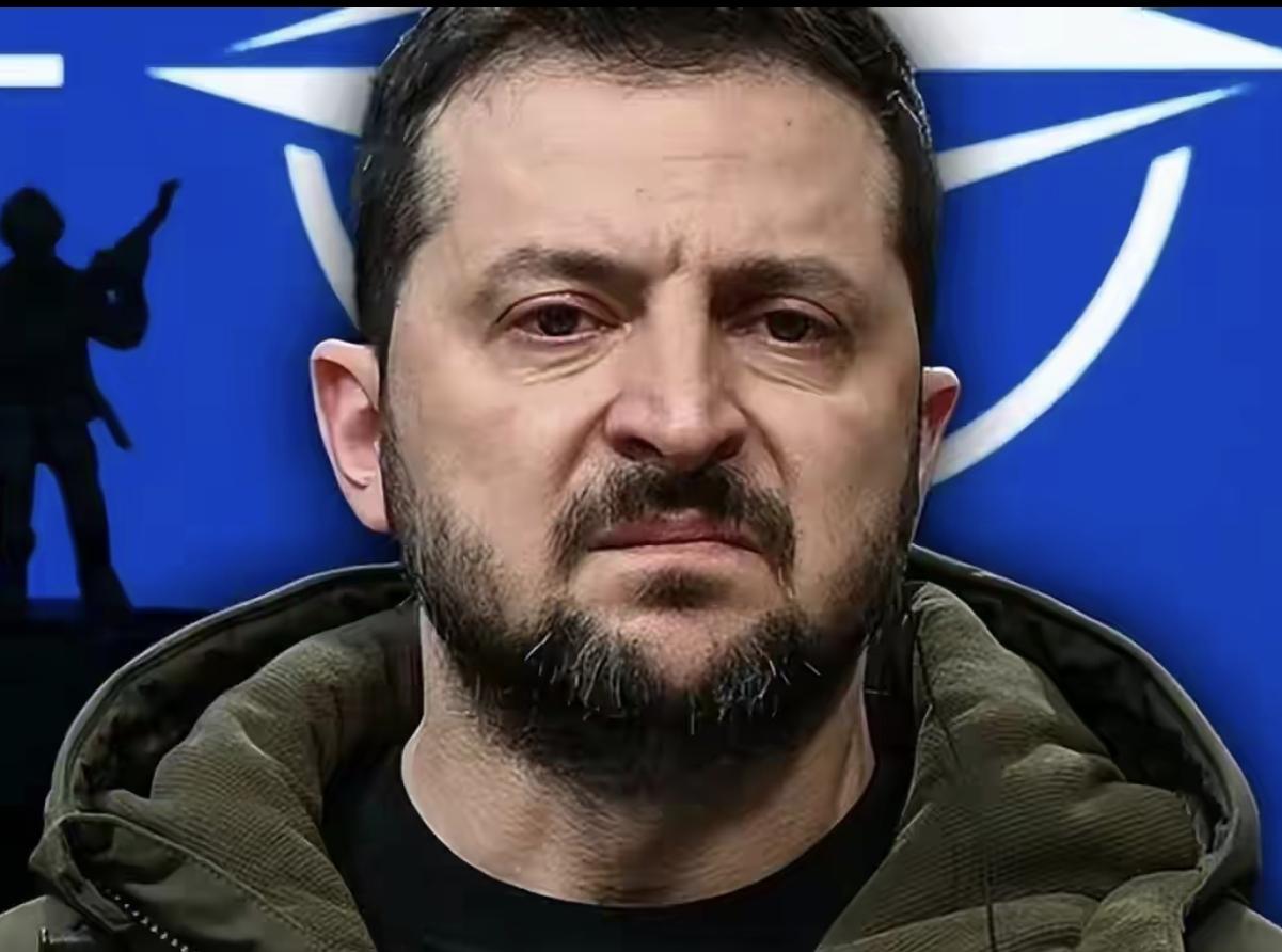 泽连斯基的小命算是保住了！白俄罗斯总统卢卡申科表示，俄罗斯总统普京早前坚决驳回