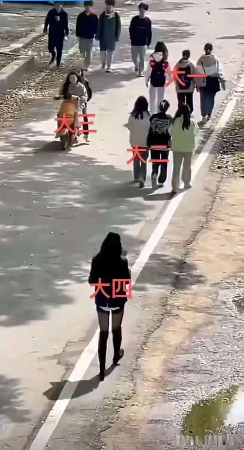 大学四年到底经历了什么