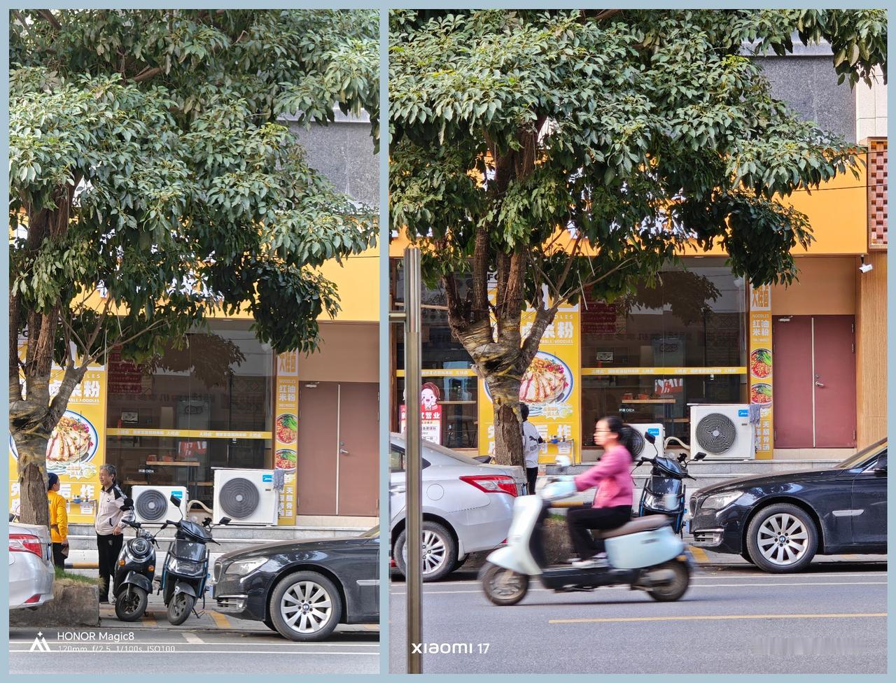 给大家看一组实拍样张，荣耀Magic8Vs“橙17”在5×、10×长焦下