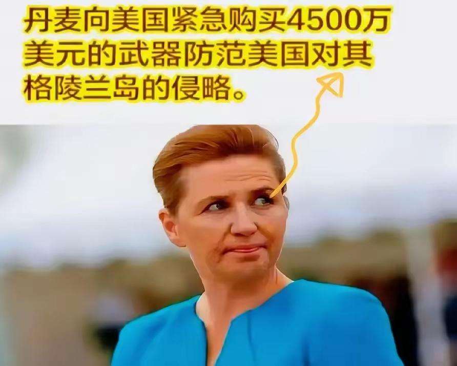 1月17日丹麦女首相已经确定购买43架F-35战斗机的基础上，又决定向美国购买价