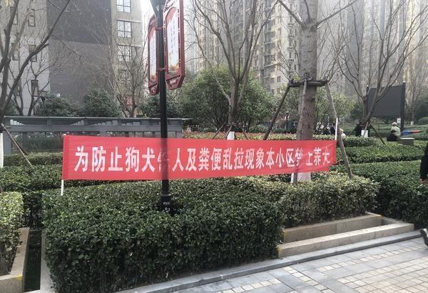 郑州一社区出全面「禁狗令」，养狗居民将被罚，这一规定是否合理？有无更好的解决办法