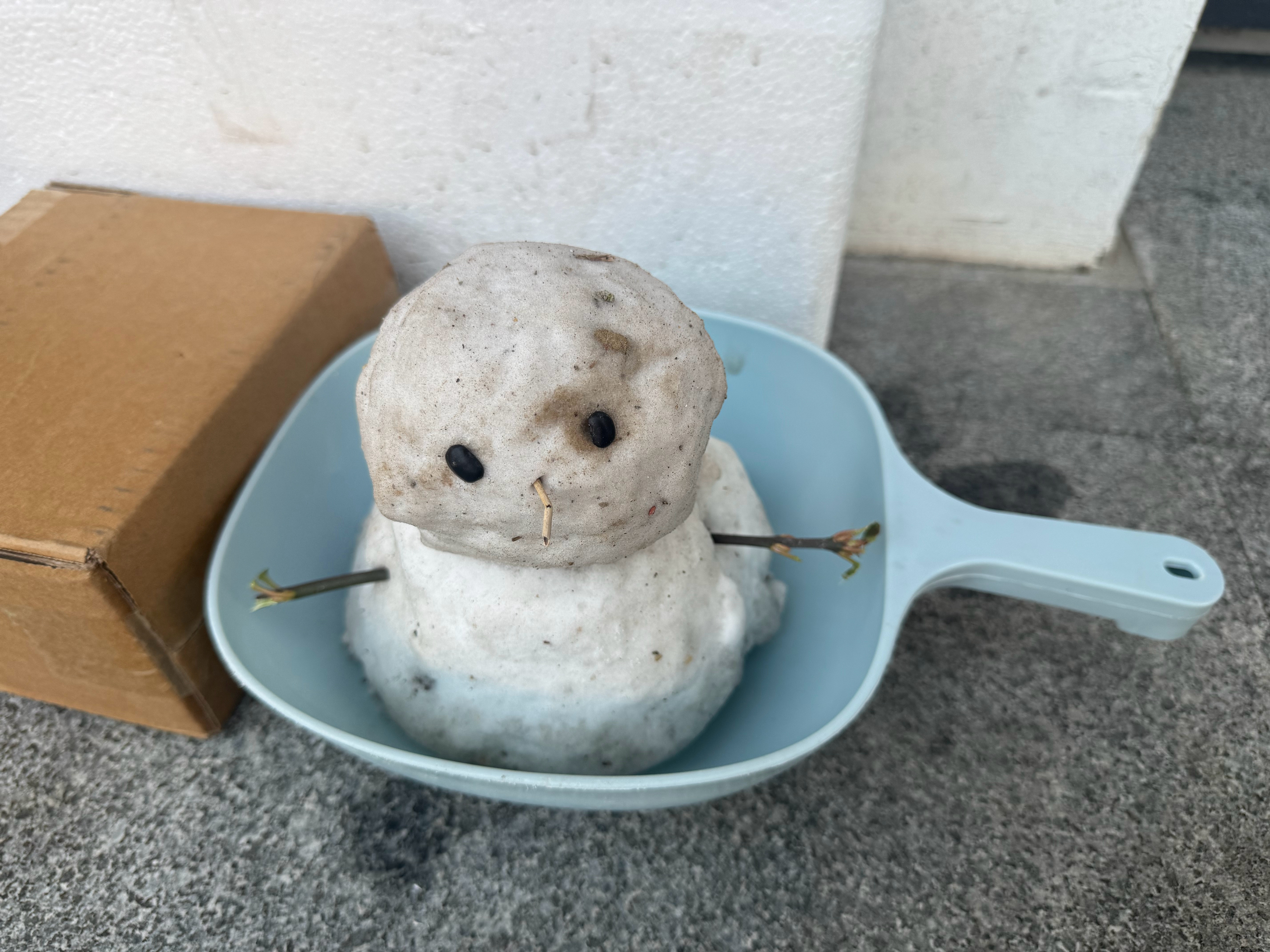 今天天津总算是下了雪，妹妹就开始堆雪人了。好萌啊哈哈