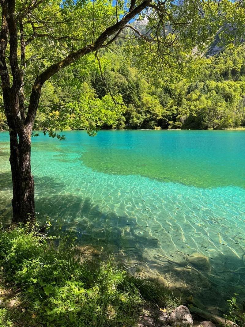 四川九寨沟一男子在景区里面吃完玉米随手将玉米杆丢进湖中，被其他游客指责后激动回怼