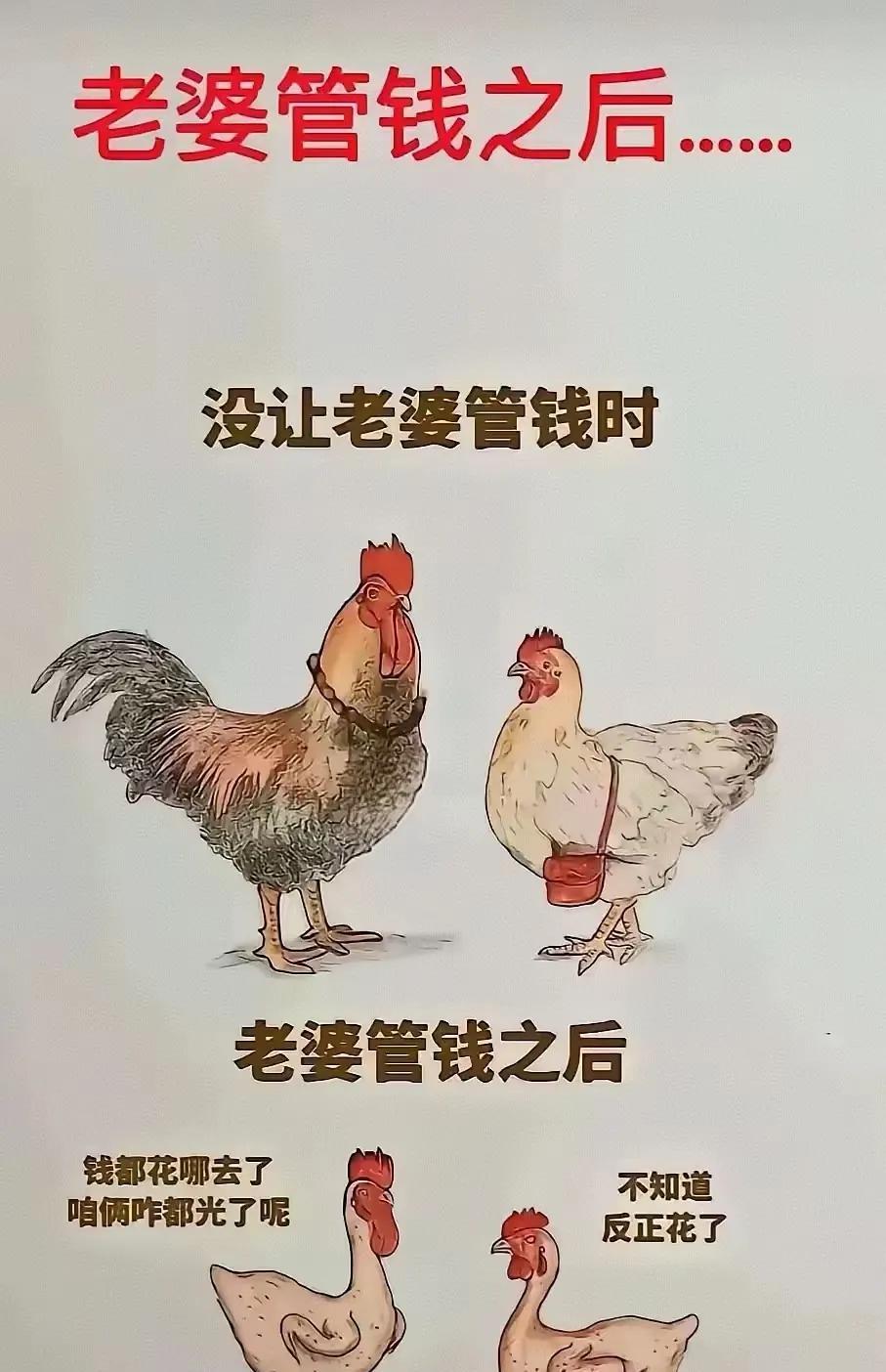 哈哈，最后鸡毛都不剩[笑着哭]#穷的只剩鸡毛#