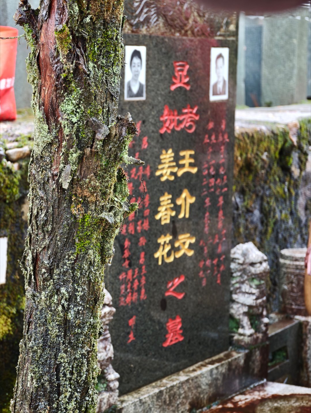 我的奶奶姜春花，出生虽为富裕，但遇到日本侵华战乱，一把火烧毁全部家产，后续只得几