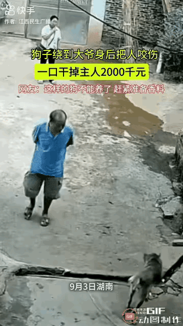 怪不得人家说招财猫和丧家犬。这只小狗为他的主人赚了-2000。