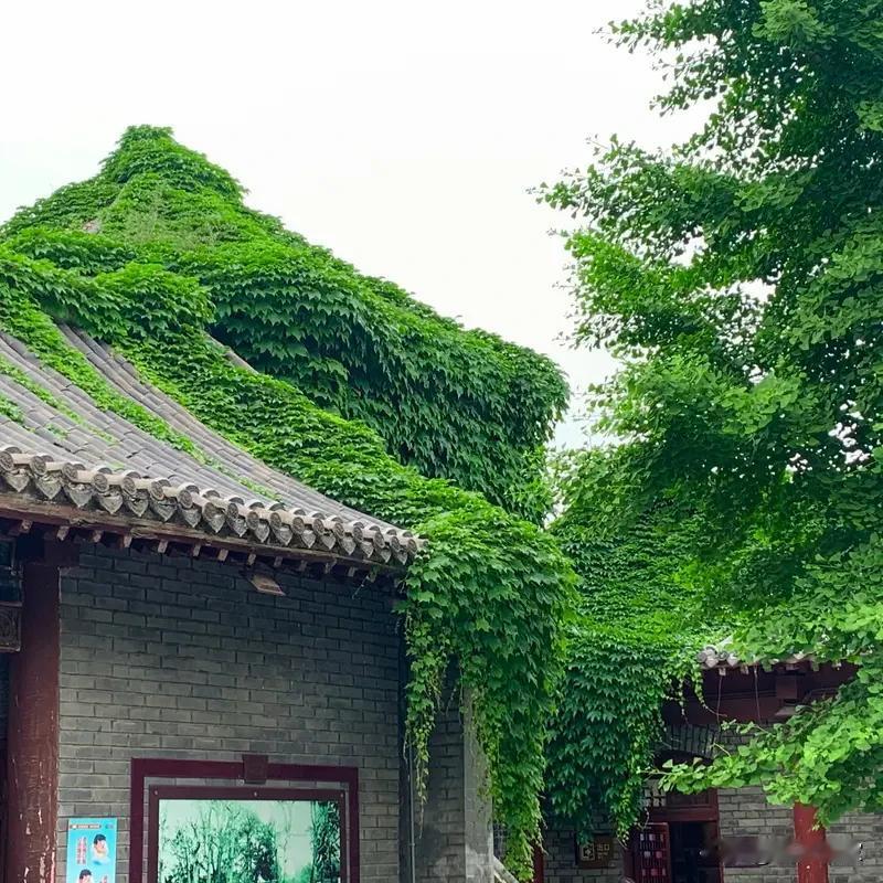 “饭后一袋烟，赛过活神仙”这句俗语都耳熟能详，那咱今天就来对对下联。我觉得“睡前