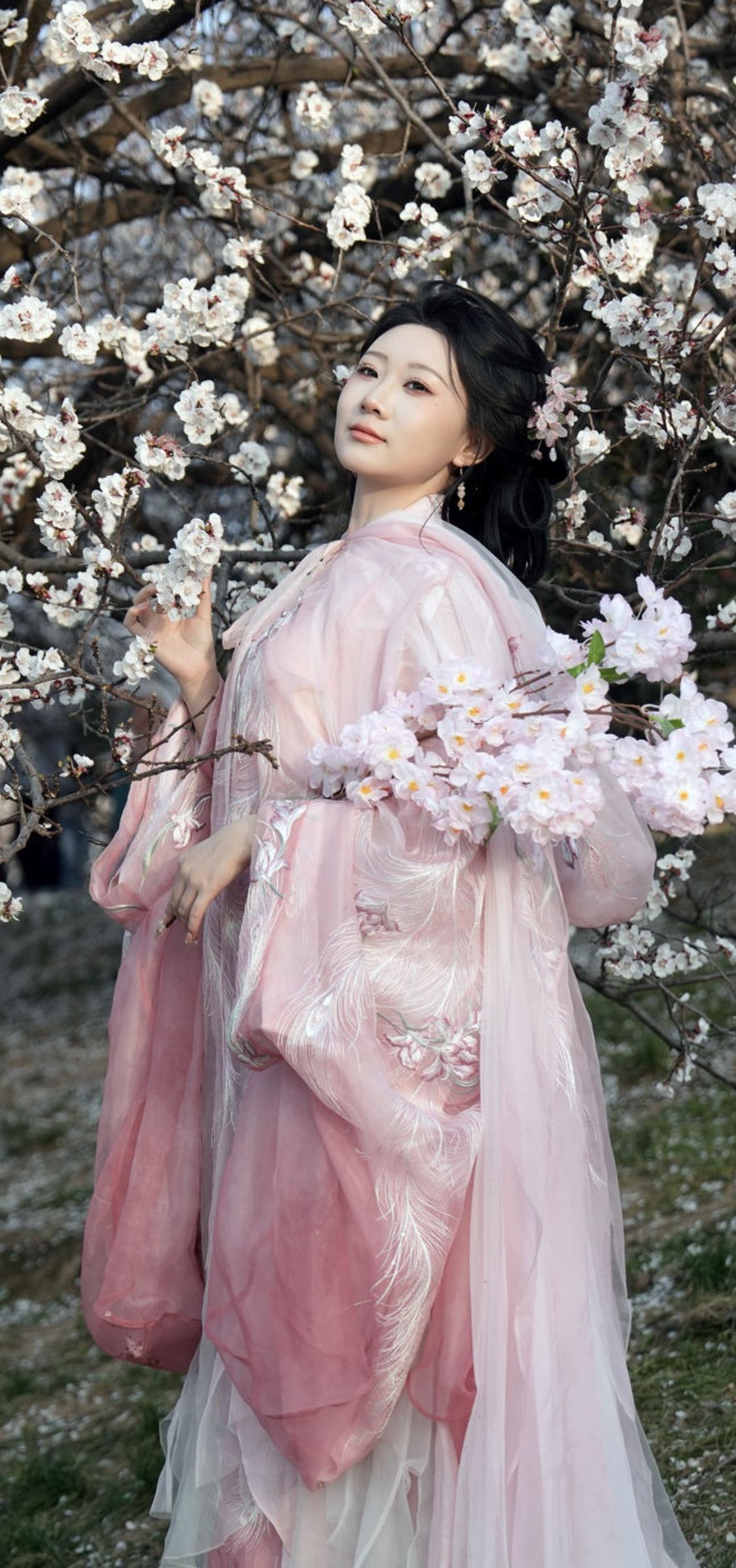 樱花树下，粉裙飘飘，仙气飘飘，美不胜收！🌸💕