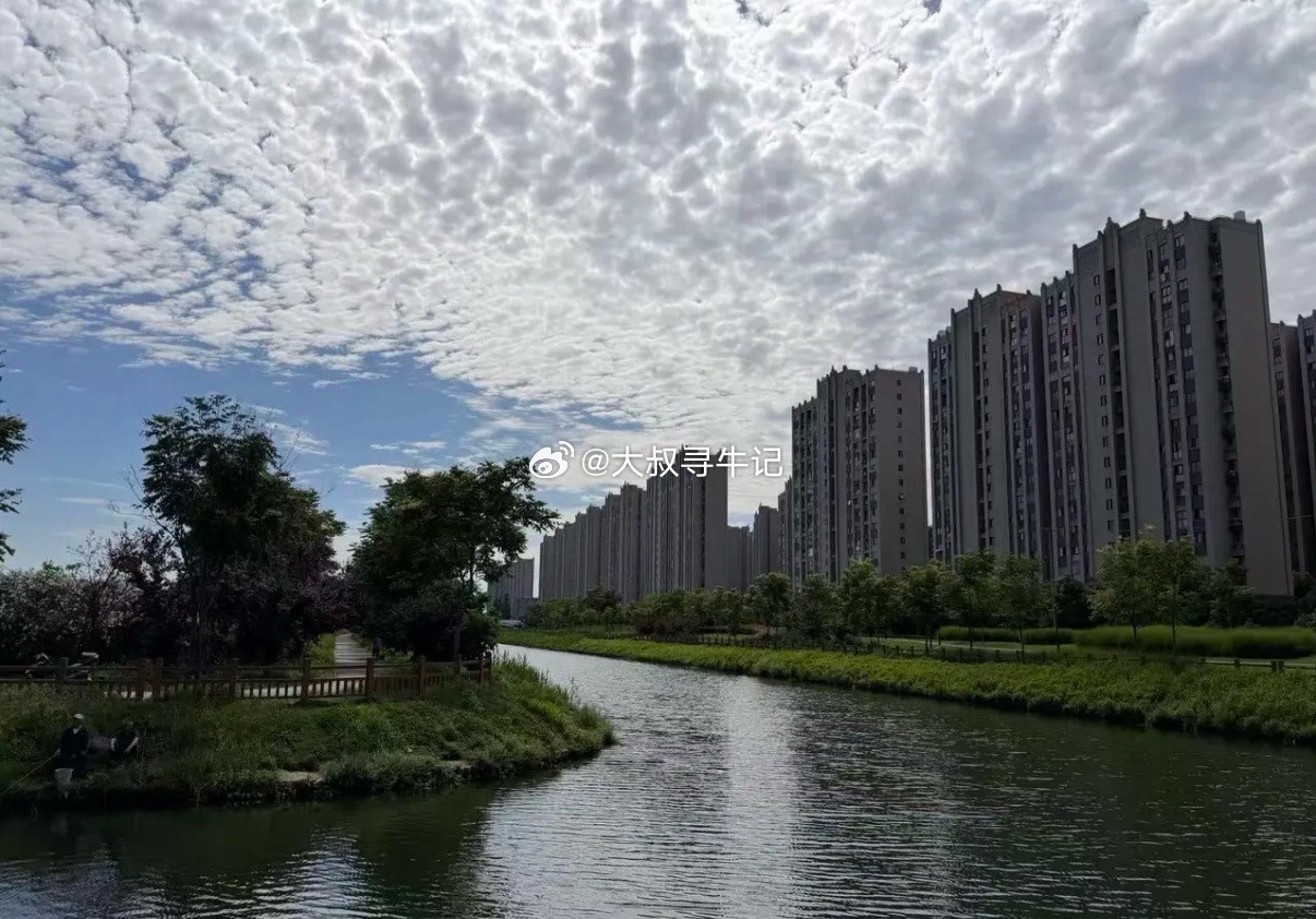 a股本轮牛市已经结束了！高位股腰斩，低位股创2024年新低，慢牛根本不存在，20