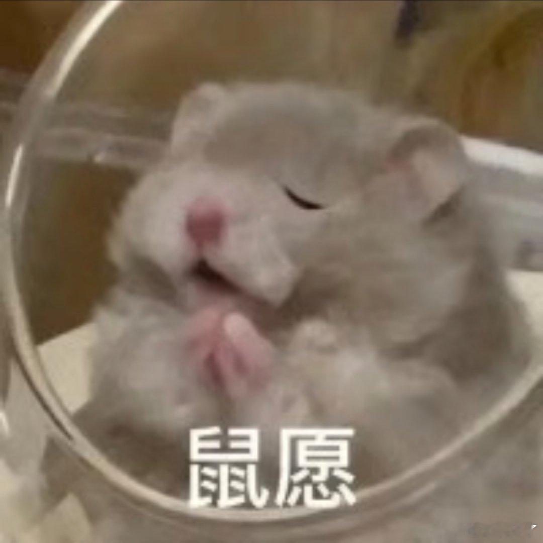 搞笑表情包。​​​