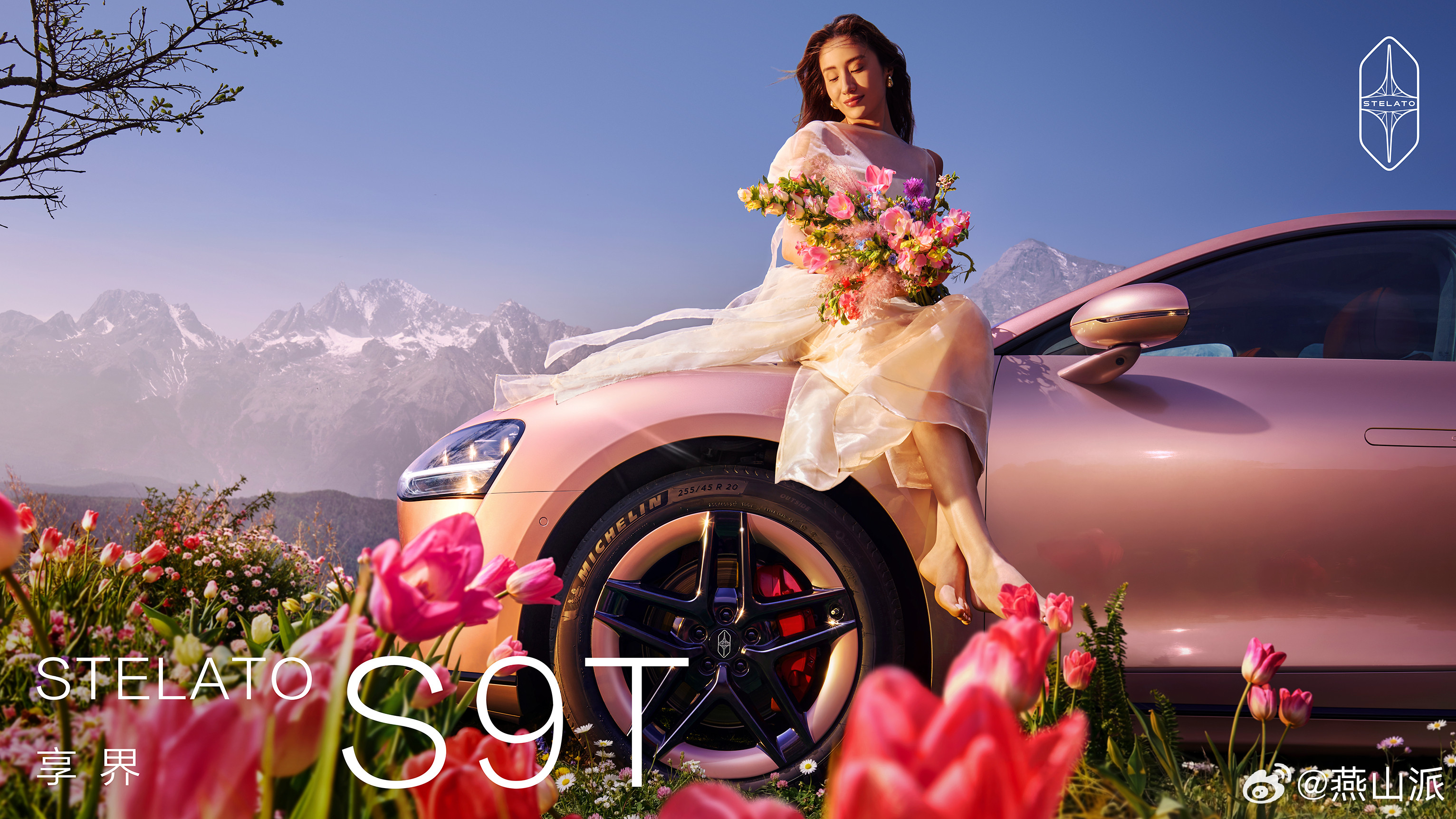 享界S9T这组图，神了！花海为伴，浪漫入怀。享界S9T「星玫粉」映于春色之间，