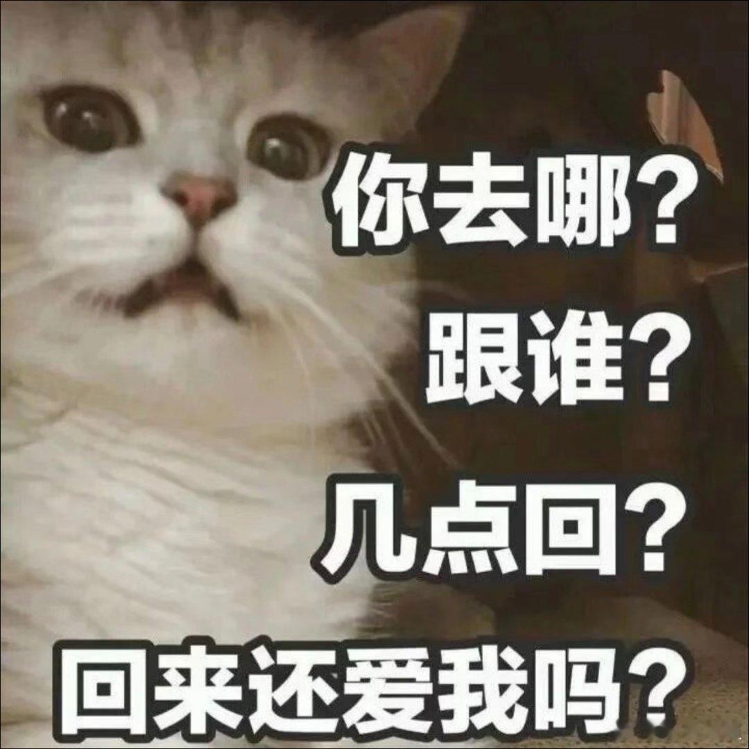 猫咪表情包。