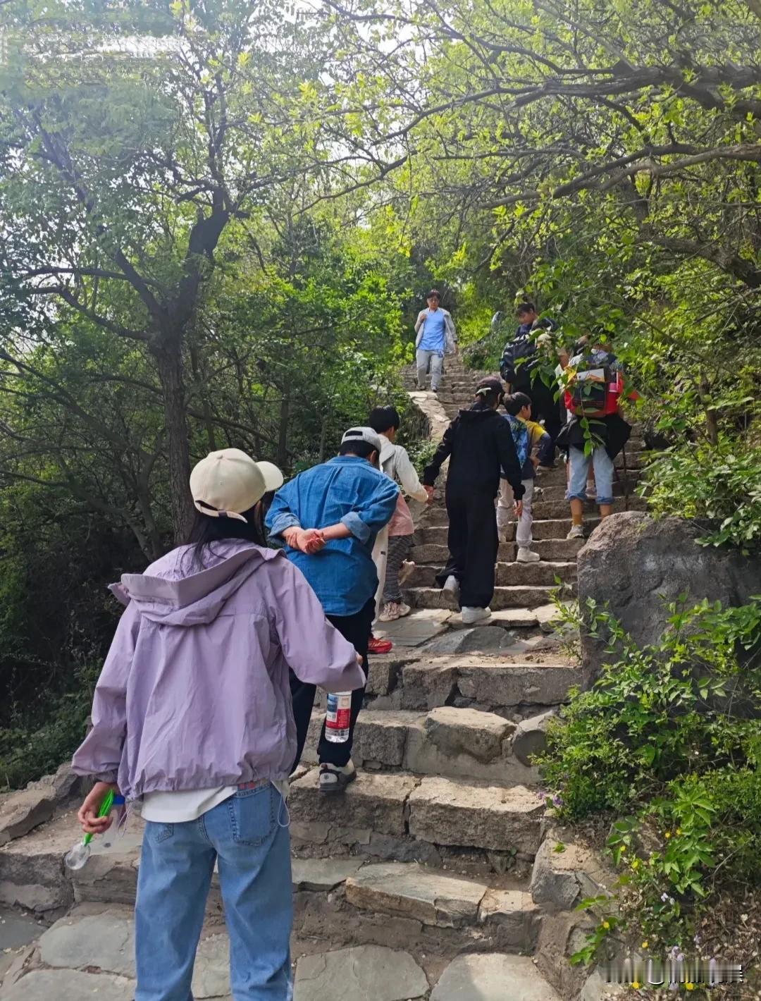 吴京、谢楠一家子在北京香山游玩，儿子长胳膊长腿的，身高好亮眼。周末一家子去爬山