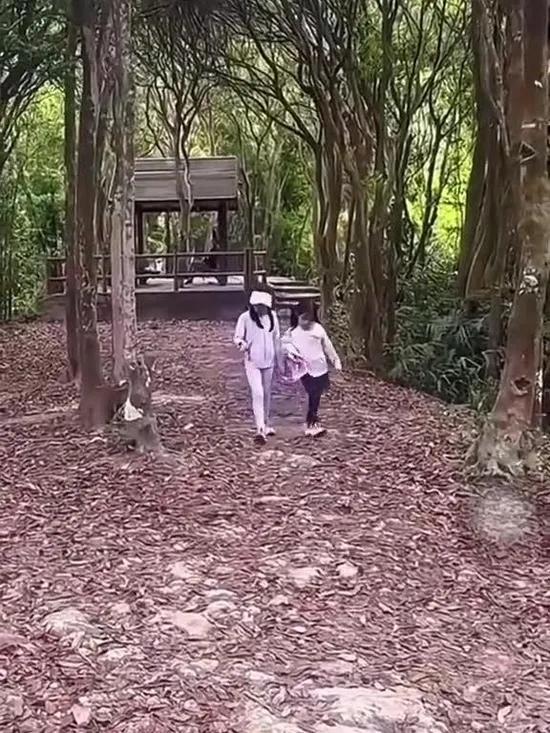 郭晶晶霍启刚“山系育儿”走红：亿万豪门爬出烟火气近日港媒拍到夫妇携三子女徒步