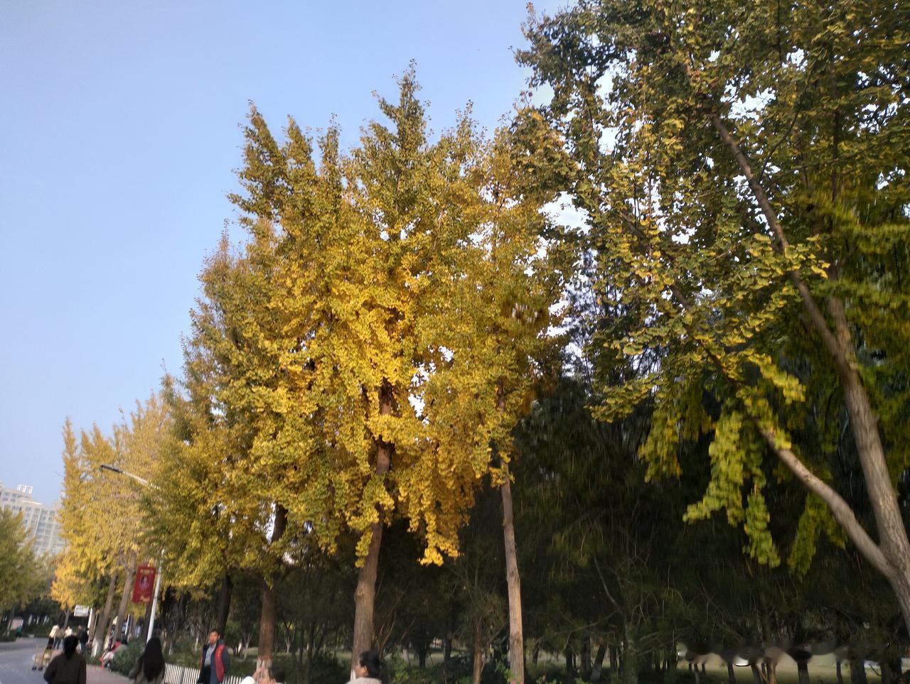 “差点意思”的红烧肉我妈总嫌我爸炖的红烧肉“差点意思”，说不出差在哪。上周我