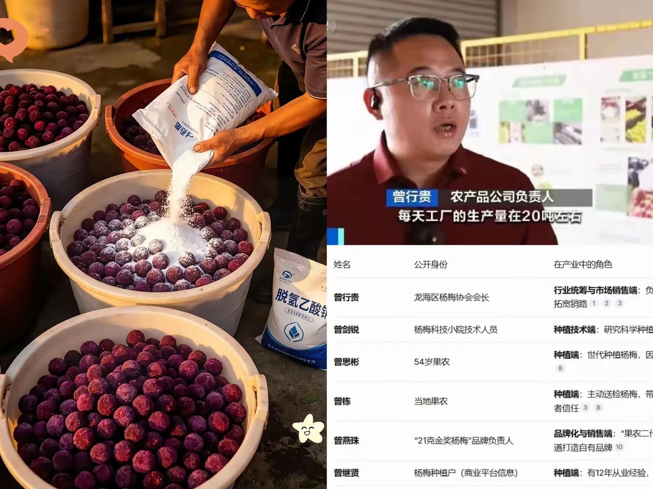 这个福建杨梅商会会长的身份，扒完直接惊掉下巴！表面上为果农愁眉苦脸哭诉杨梅滞销，