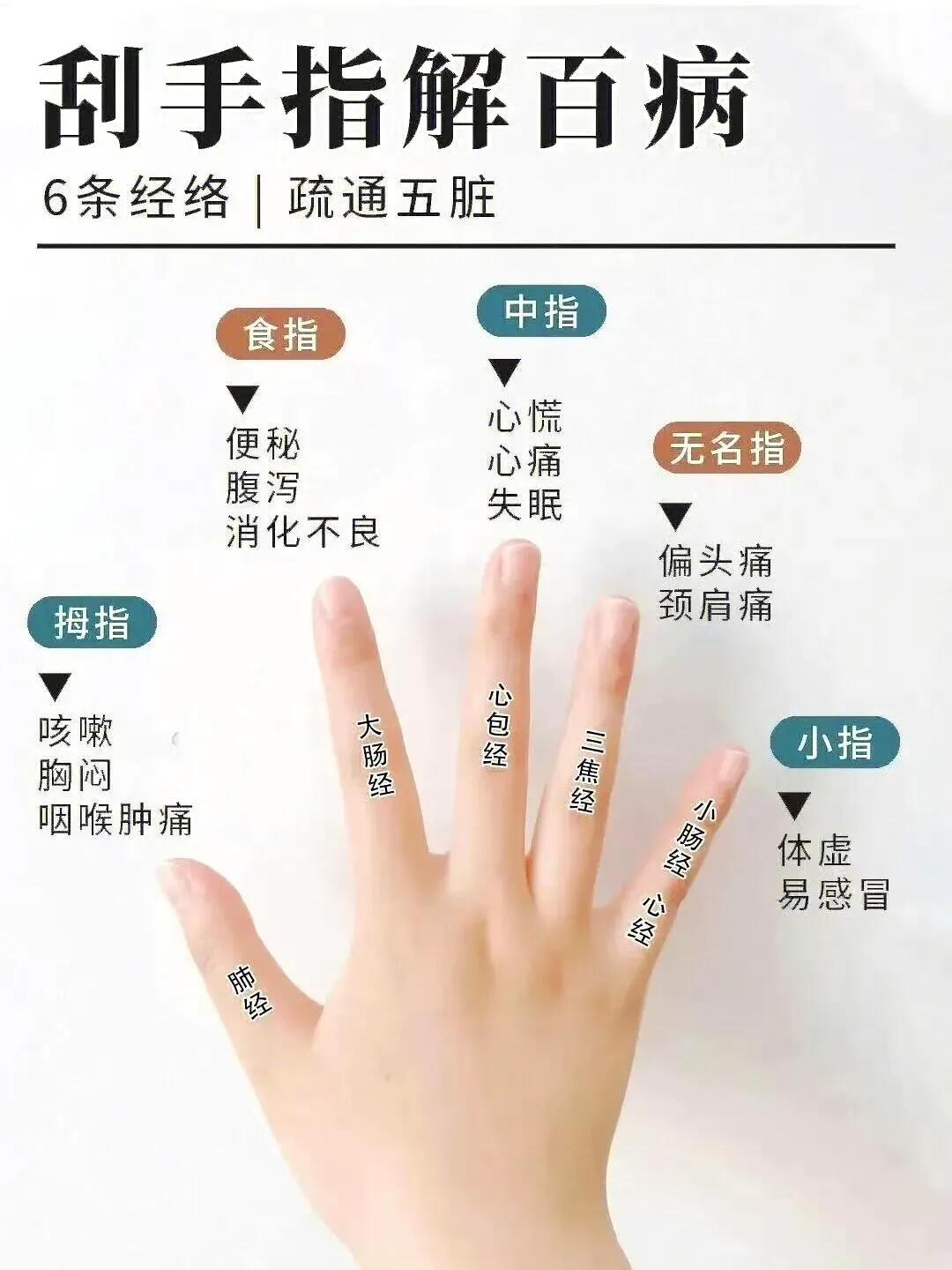 手指穴位解析刮手指解百病五指，六条经络​​​