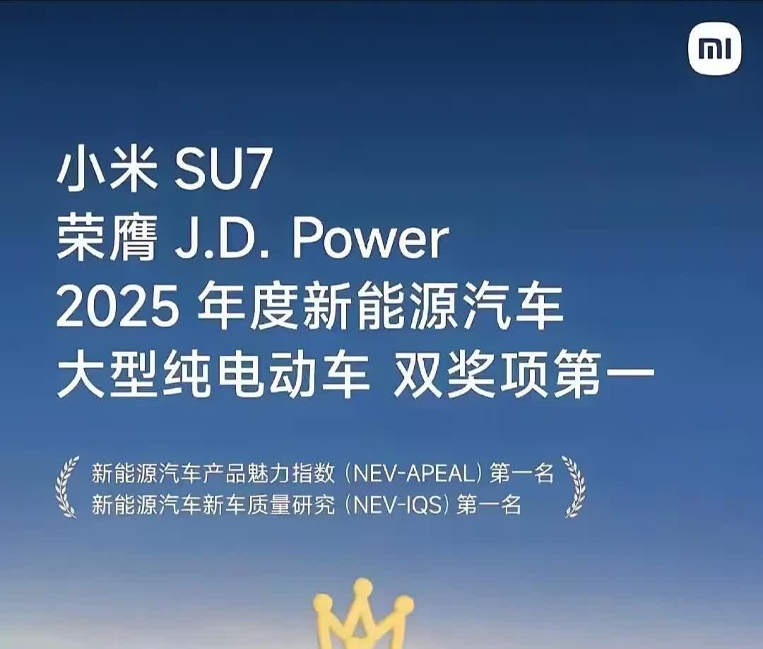 一辆只在中国卖的车，却在外国获奖，还大势宣传，好比学期结束，除了三好生和优秀学生