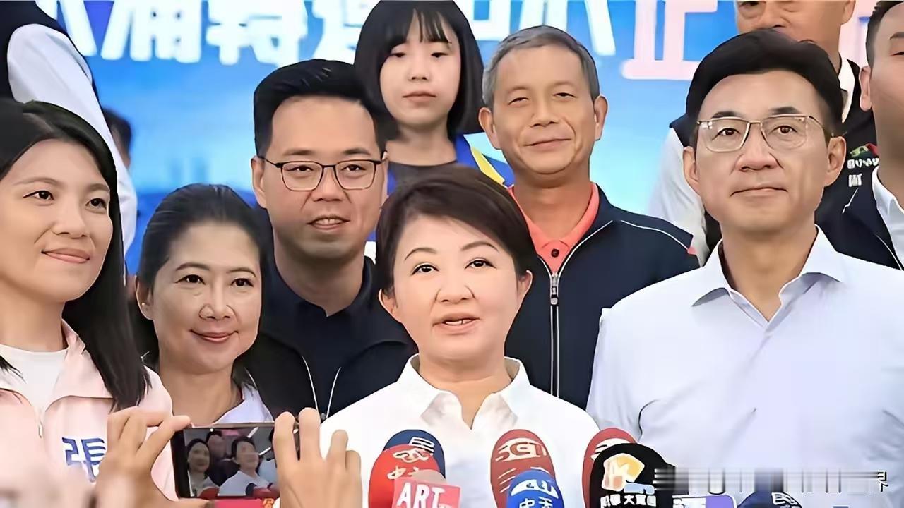 卢秀燕真是可怜可耻又好笑！代表一个党参选，不经党内选举，自己又不是党主席，就闪到