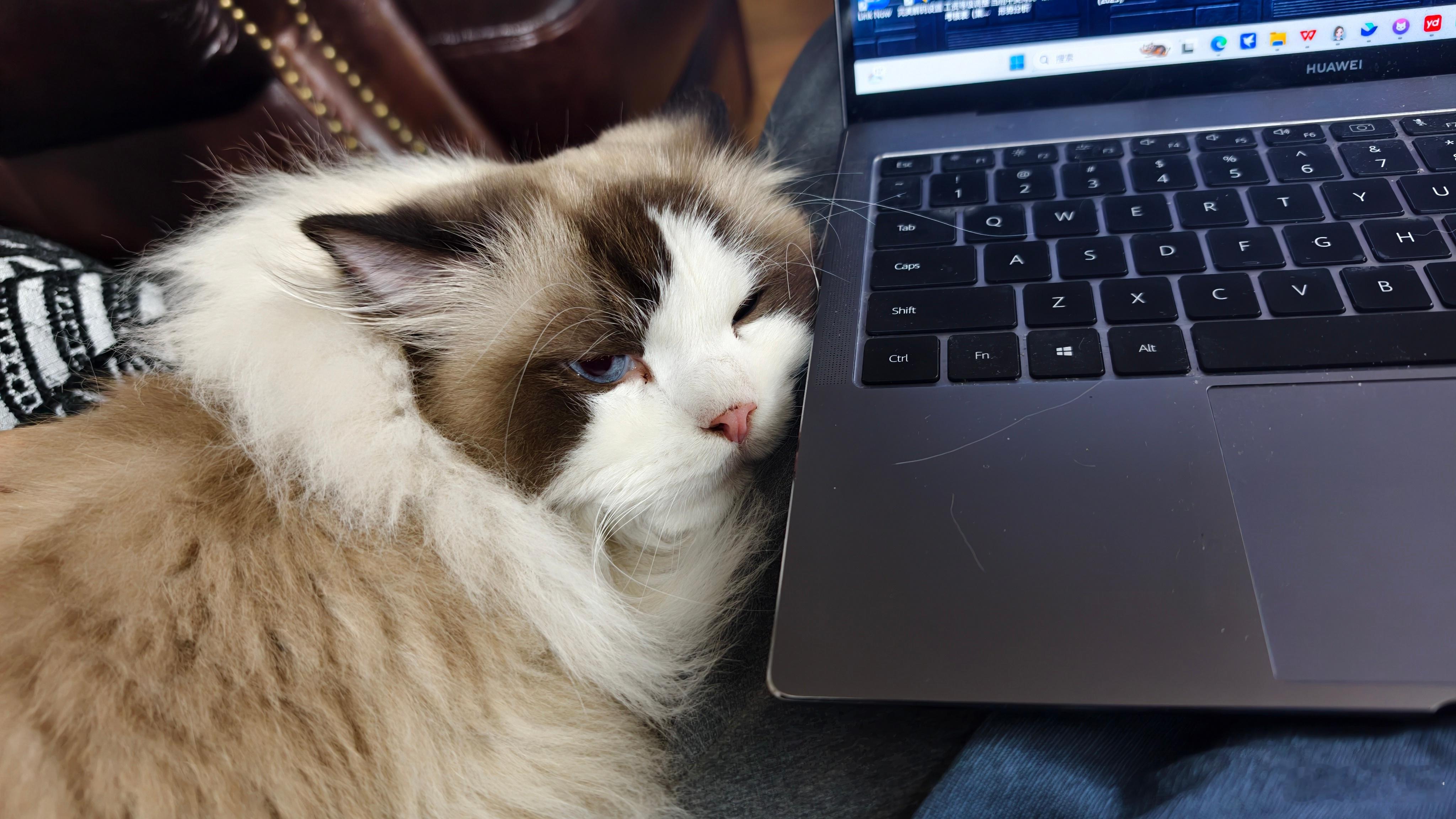 刚刚在做一些学术工作，结果无意中刷到了很多留子在发AI毕业照，于是跟风弄了一个，