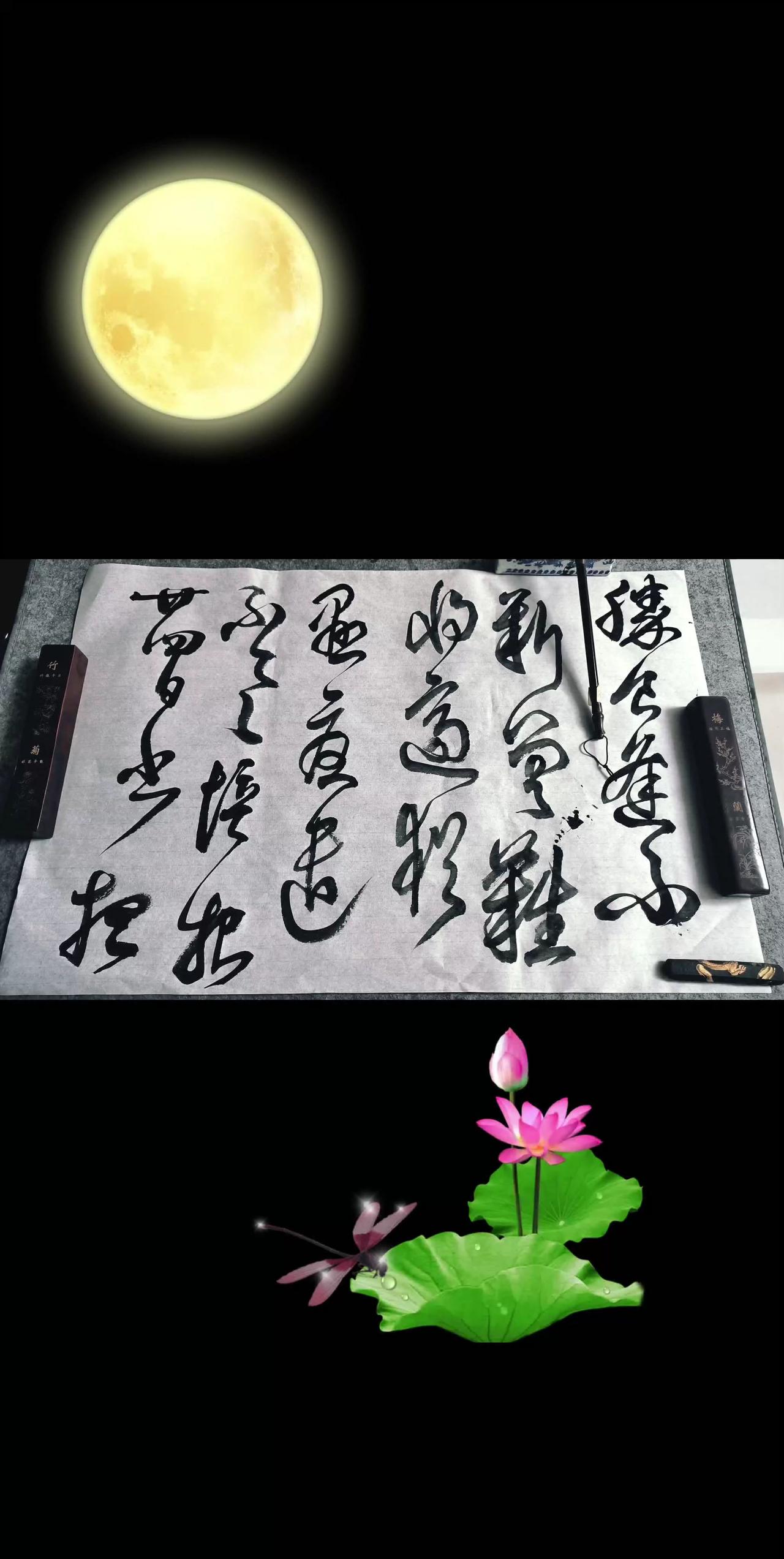 书法日常分享
